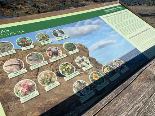 B&B Villacaruso Marbella-elviria-costa Del Sol