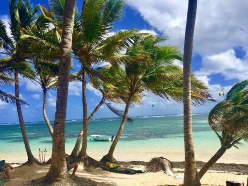 Apartamento Le Hamo - Tropical : T2 Piscine Proche Plage