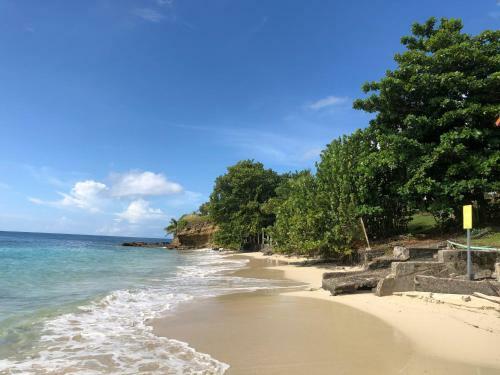 Apartamento T2 Les Pieds Dans L'eau, Vue Mer Caraibes