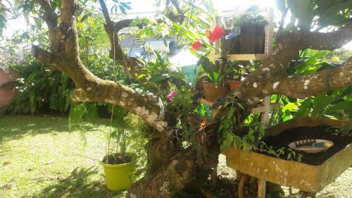 Apartamento Kay Mit Et Kay Jacko