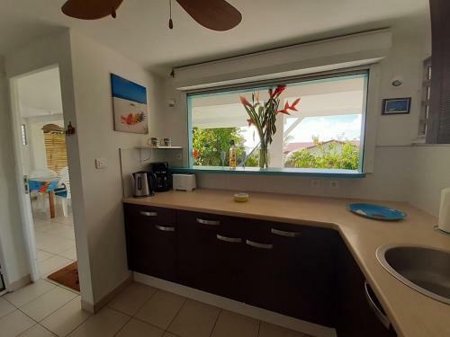Apartamento Sainte-luce 2 T1 Hibiscus Et Colibris