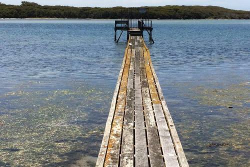 Dolphin Shores By The Blackwood River