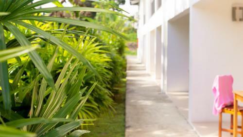 Hotel Island Accommodation 68 Extension Street