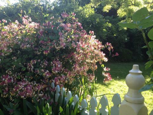 Pendower House B&B