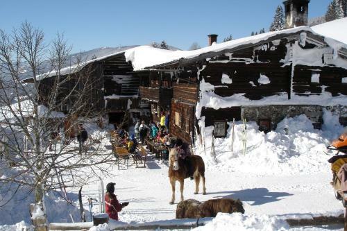 Hostal Pension Waldesruh/halseralm