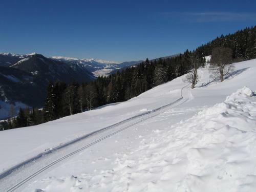 Agroturismo Pension Bergbauernhof Irxner