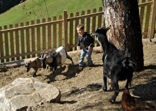 Agroturismo Pension Bergbauernhof Irxner