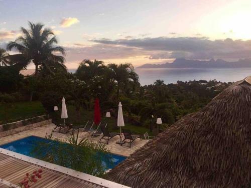 Apartamento Suite Tropical Garden Avec Vue Imprenable!!!