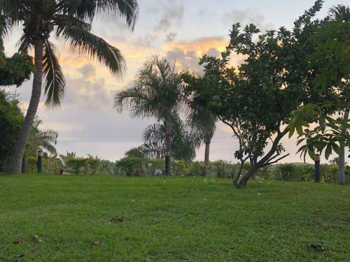 Apartamento Suite Tropical Garden Avec Vue Imprenable!!!