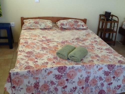 Hostal Pension Turiroa " Chez Olga"
