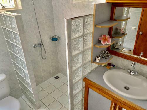 Hostal Farehau