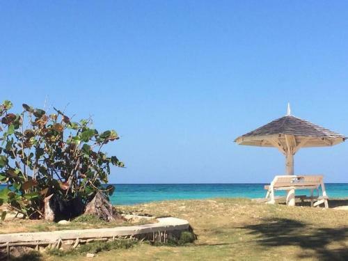 Beautiful 2-bed Apartment In Sunny Jamaica