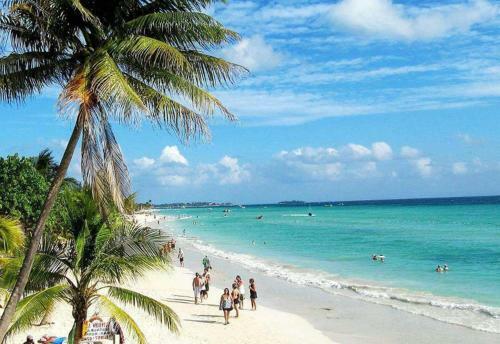 Beautiful 2-bed Apartment In Sunny Jamaica