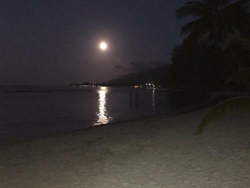 Beach De R�ves De Moorea