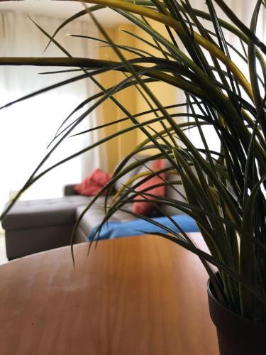 Apartamento Carlos Haya Mare Nostrum 1