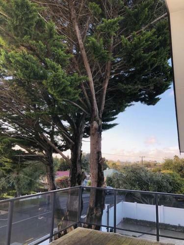 Apartamento Henderson Dream Guest House