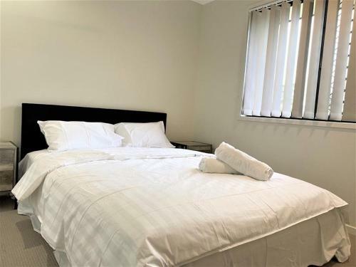 Award Winner House 4 Beds 2 Baths Airconditioned In Gladstone