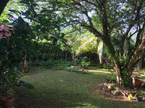 Fare Haurevaiti Moorea