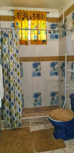 True Treasure In Treasure Beach - Entire Villa