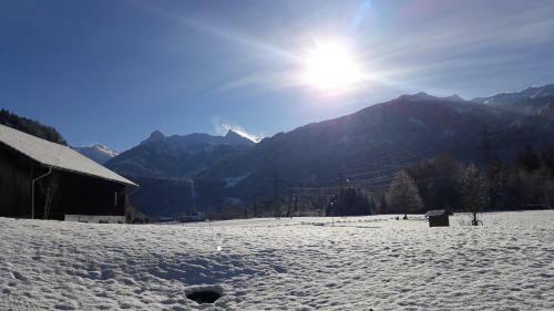 Relax- Und Vitalhotel Adler