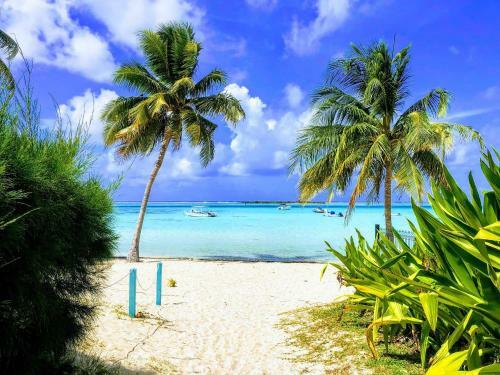 Moorea - Tropical Soul