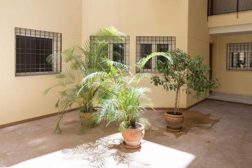 Apartamento Malaga Paradise (historic Centre)