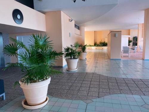 Beachfront Apartment In Acapulco, Ideal For Vacation Or Remote Working