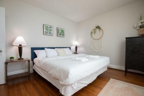 Redmont Revival-walkable-pets-uab