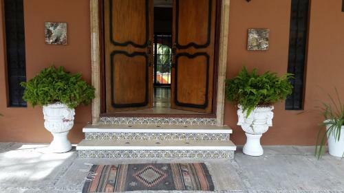 Mexican 1 Level Hacienda