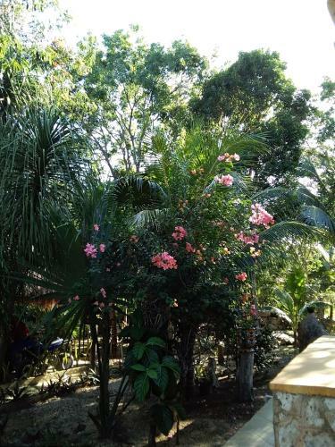Agroturismo Villas Tortugas Akumal