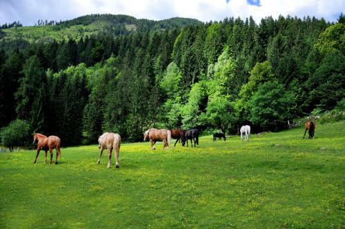 Agroturismo Raderhof