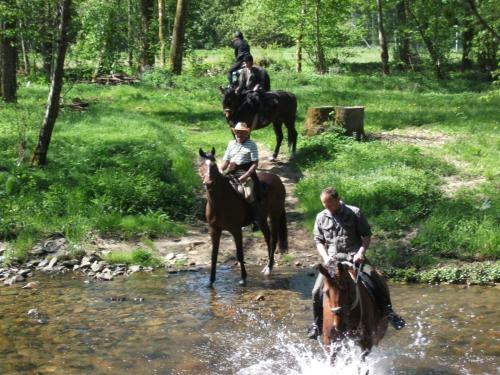 Hostal Sportpension Ramlhof