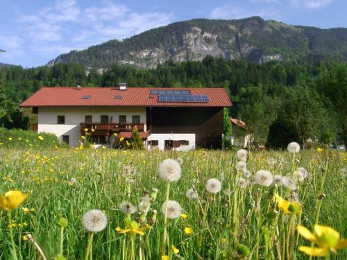 Apartamento Ferienappartements Meixner