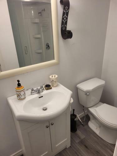 Hostal Adorable Studio Basement Apartment In South Barrie