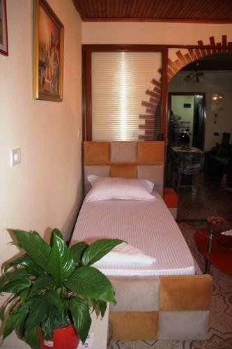 Apartamento Guesthouse Kurti