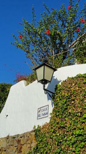 Casa Ranita