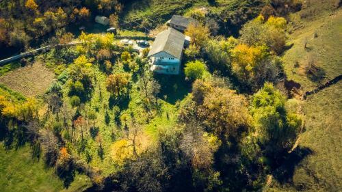 Hostal Amoj B&B And Guest House