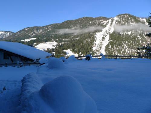 Apartamento Alpenhaus Dachstein.zauber