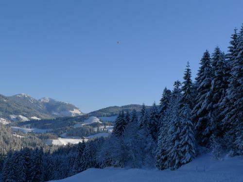 Apartamento Alpenhaus Dachstein.zauber
