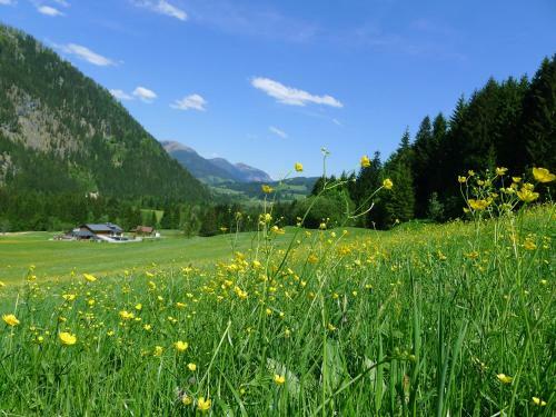 Apartamento Alpenhaus Dachstein.zauber