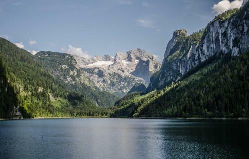Apartamento Alpenhaus Dachstein.zauber
