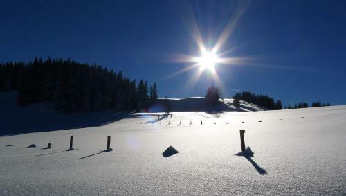 Apartamento Alpenhaus Dachstein.zauber