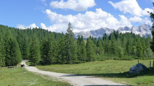 Apartamento Alpenhaus Dachstein.zauber