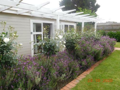 Apartamento Studio 35 St Andrews Hamilton