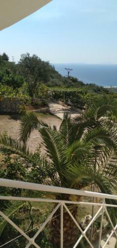 Apartamente Arturi