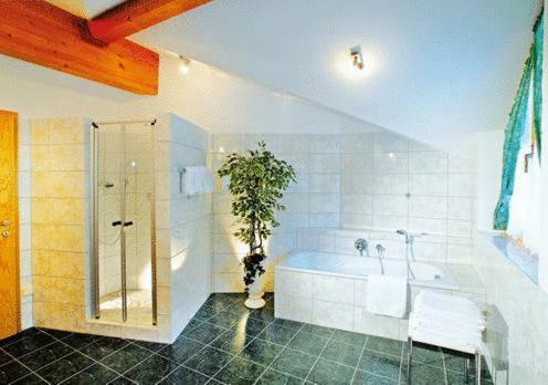 Apartamento Tonis Appartements Am Achensee