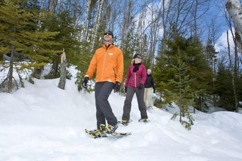 Apartamento Initial - Grizzly - Mont-sainte-anne
