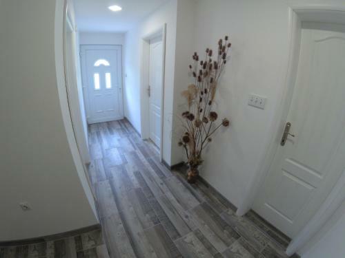 Apartman Karganovic