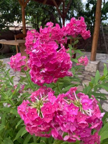 Hostal Yeganyans Guest House And Wine Yard