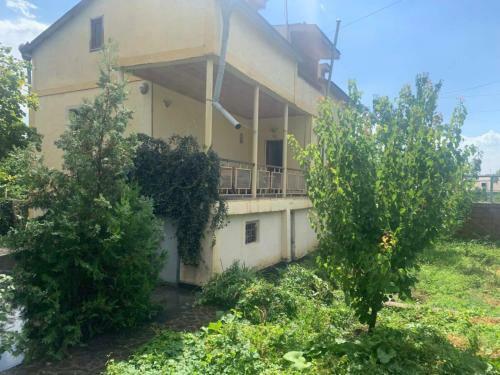 Hostal Family House